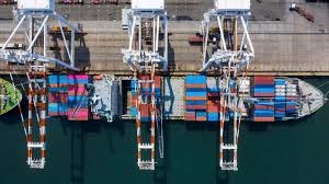 Ship Management Consultant