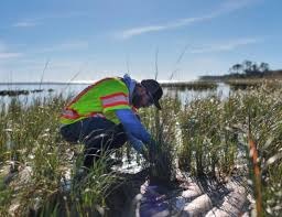 Maritime Environmental Consultant